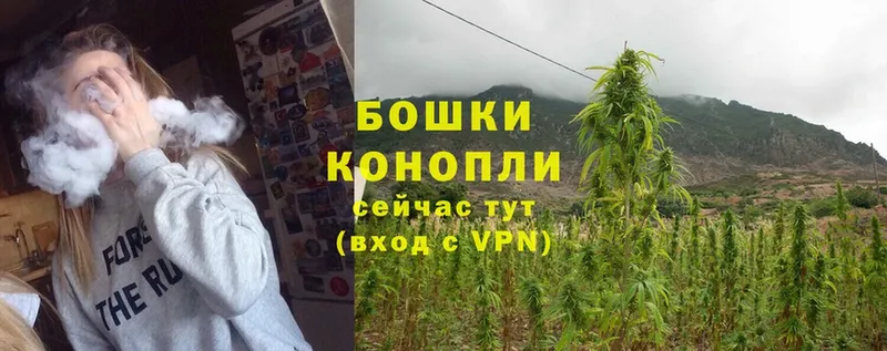 магазин продажи наркотиков  Котельники  Бошки марихуана OG Kush 